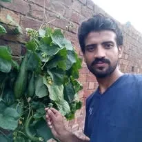 Green Seekers Activity